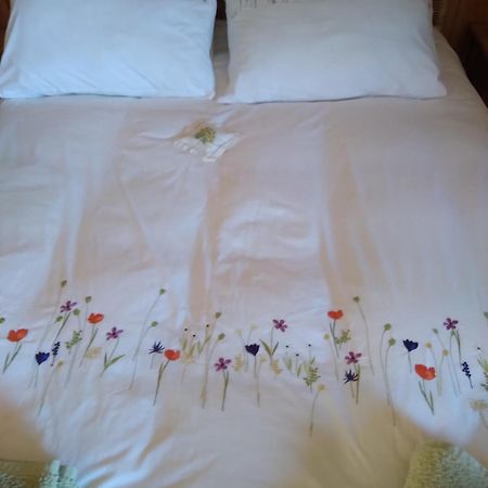 Les Dames De La Saugiat Bed & Breakfast Le Fied Dış mekan fotoğraf
