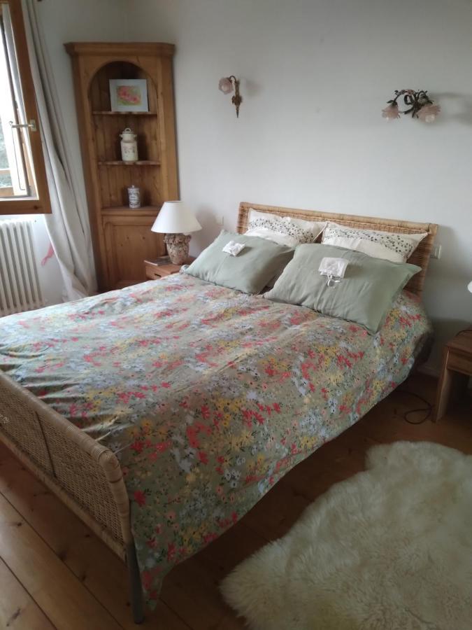 Les Dames De La Saugiat Bed & Breakfast Le Fied Dış mekan fotoğraf